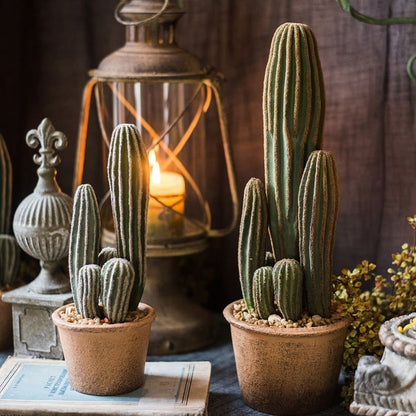 Artificial cactus in two brown terracotta pots with tall and short stems, RusticReach on Tampa Home & Garden Store