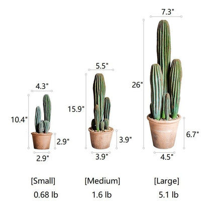 Artificial cactus trio in brown terracotta pots by RusticReach, small medium large on Tampa Home & Garden Store