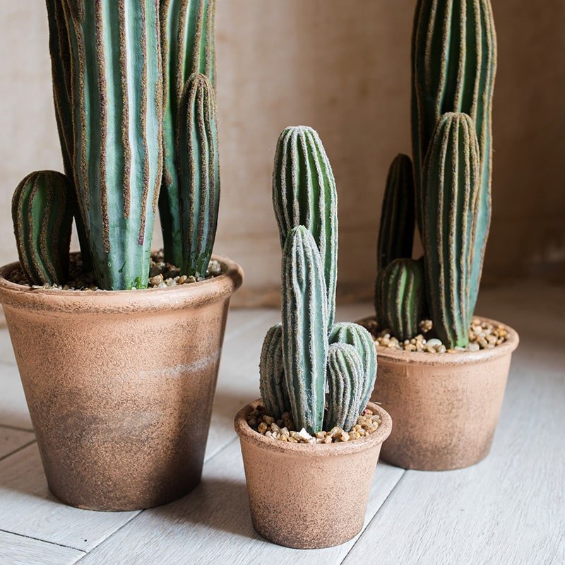 Artificial Faux Cactus set of 3 in brown pots with ribbed green stems and pebbles RusticReach on Tampa Home & Garden Store