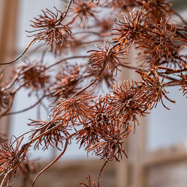 Plastic Cangli Stem 33" Tall decorative stem with dried brown spiky clusters on Tampa Home & Garden Store