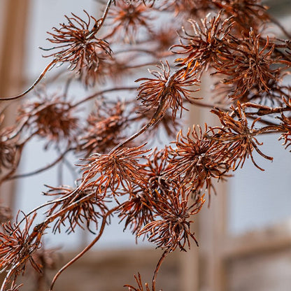 Plastic Cangli Stem 33" Tall decorative stem with dried brown spiky clusters on Tampa Home & Garden Store