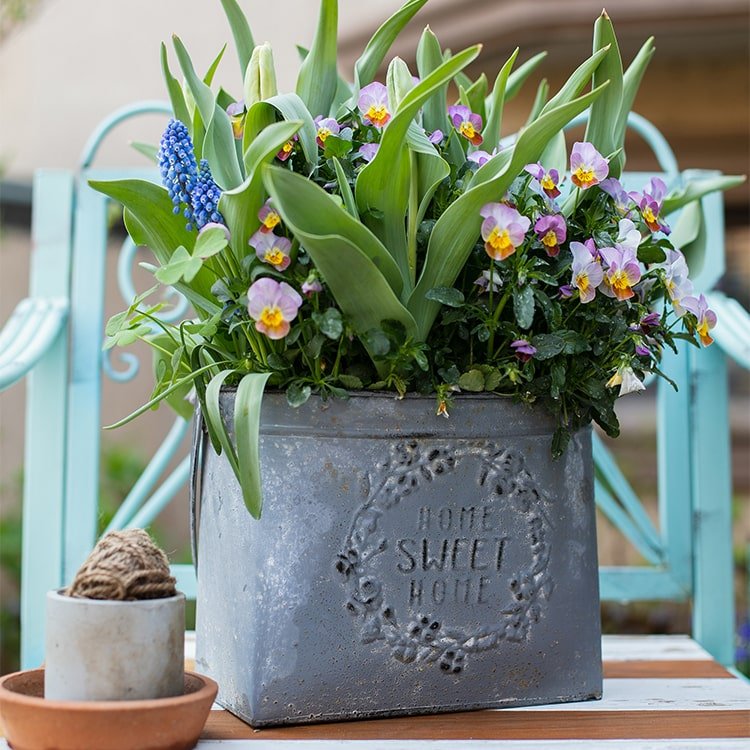 Iron Carry Flower Pot gray metal planter RusticReach with lush greens and pansies on Tampa Home & Garden Store
