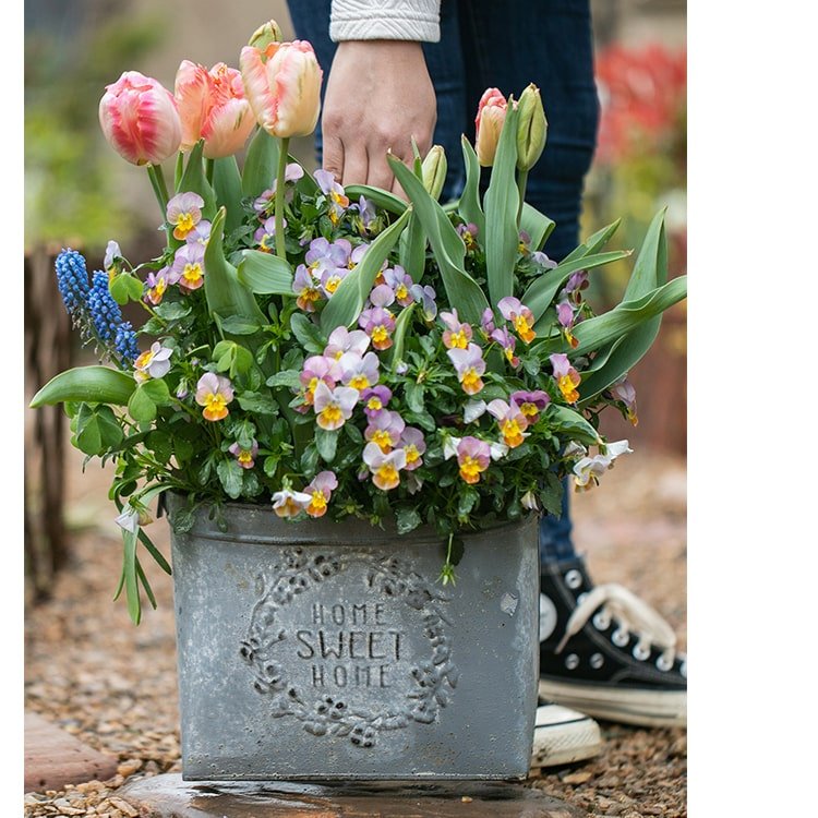 Iron Carry Flower Pot gray embossed Home Sweet Home with pink tulips and violas RusticReach on Tampa Home & Garden Store
