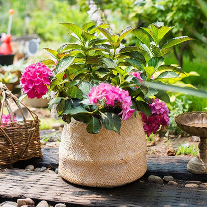 Cement weaving-pattern planter with pink hydrangeas, beige RusticReach container on Tampa Home & Garden Store