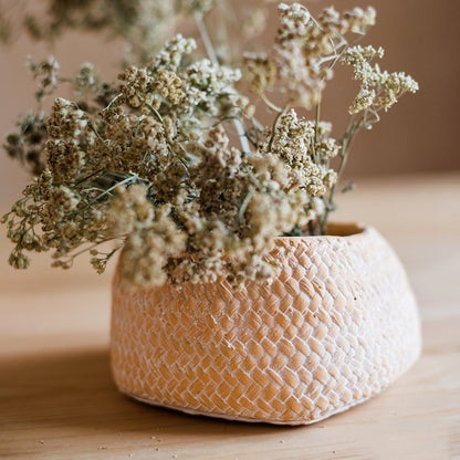 RusticReach cement weaving pattern planter with dried flowers in a beige woven pot on Tampa Home & Garden Store