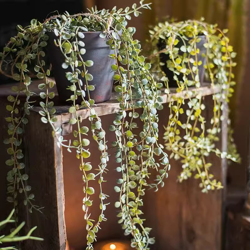 Hanging Faux Ceropegia Vine in Pots with trailing round leaves in dark planters RusticReach on Tampa Home & Garden Store