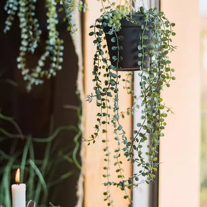 Hanging faux Ceropegia vine in black pot with trailing round leaves, RusticReach on Tampa Home & Garden Store