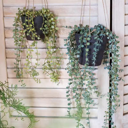Hanging faux Ceropegia vine in pots, RusticReach, two black pots with cascading green vines on Tampa Home & Garden Store