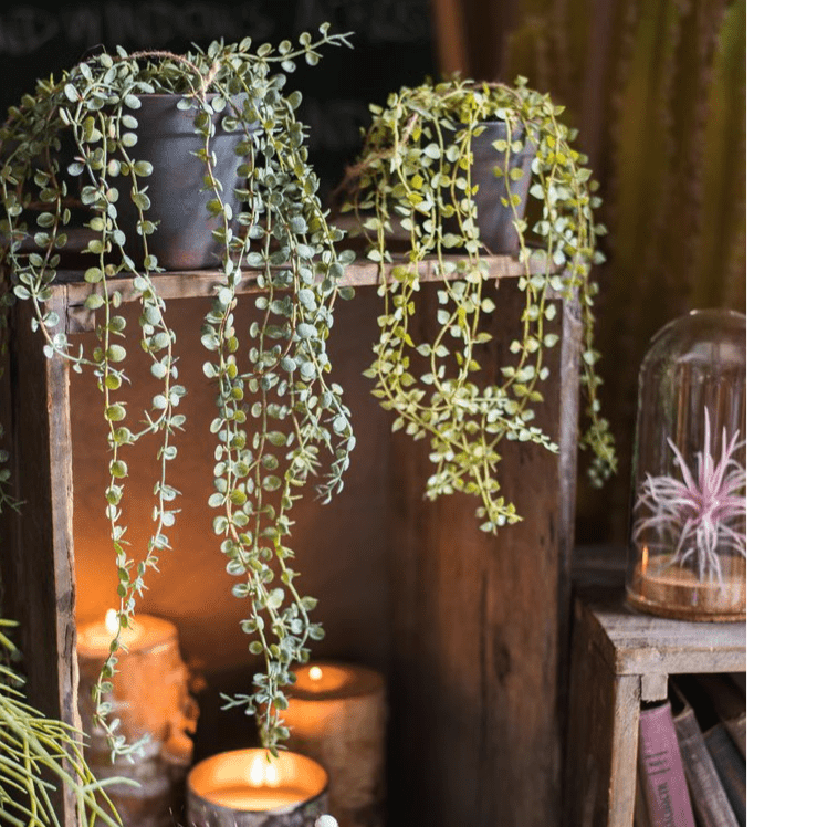 Hanging faux Ceropegia vine in two gray pots by RusticReach, cascading trailing leaves on Tampa Home & Garden Store