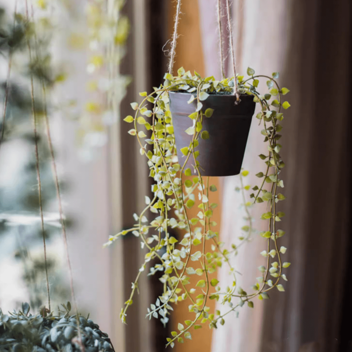 Hanging faux Ceropegia vine in black pot with trailing green leaves RusticReach on Tampa Home & Garden Store