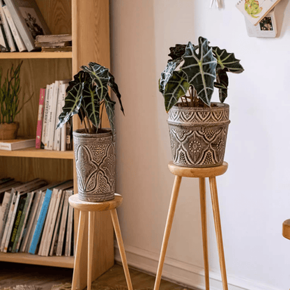 Classic Element Art Planter Clay Flowerpots, ornate ceramic pots with geometric patterns on wooden stands (two pieces) RusticReach on Tampa Home & Garden Store