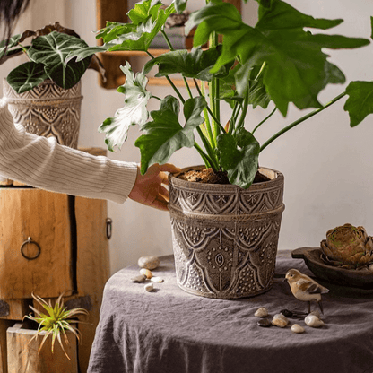 Classic Element Art Planter Clay Flowerpot by RusticReach, etched planters with green leaves on Tampa Home & Garden Store