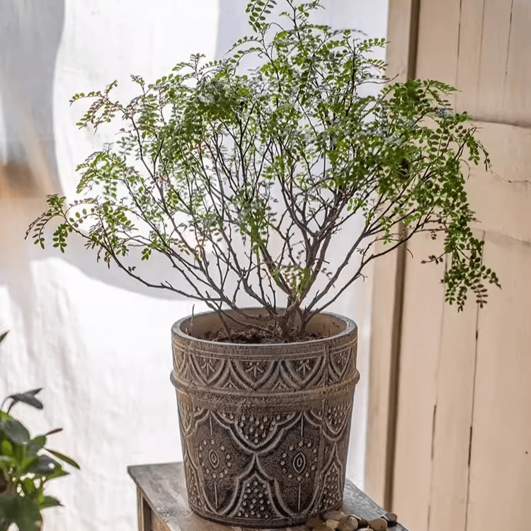 RusticReach Classic Element Art Planter Clay Flowerpot with ceramic pattern in dark brown on Tampa Home & Garden Store