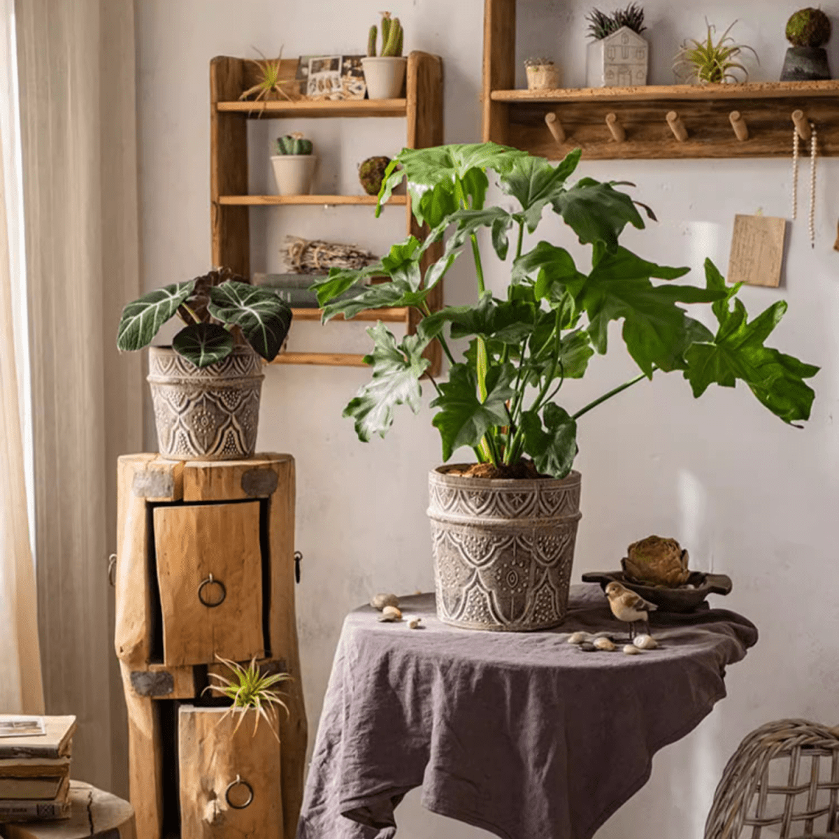 Classic Element Art Planter Clay Flowerpot gray with Monstera; two planters on stand near Tampa on Tampa Home & Garden Store