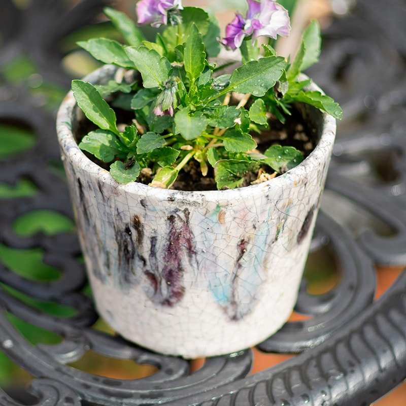 Colorful Terracotta Pot by RusticReach with crackled glaze and green plant on Tampa Home & Garden Store