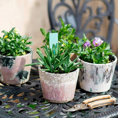 Colorful Terracotta Pot trio crackled glaze with succulents and flowering plants RusticReach on Tampa Home & Garden Store