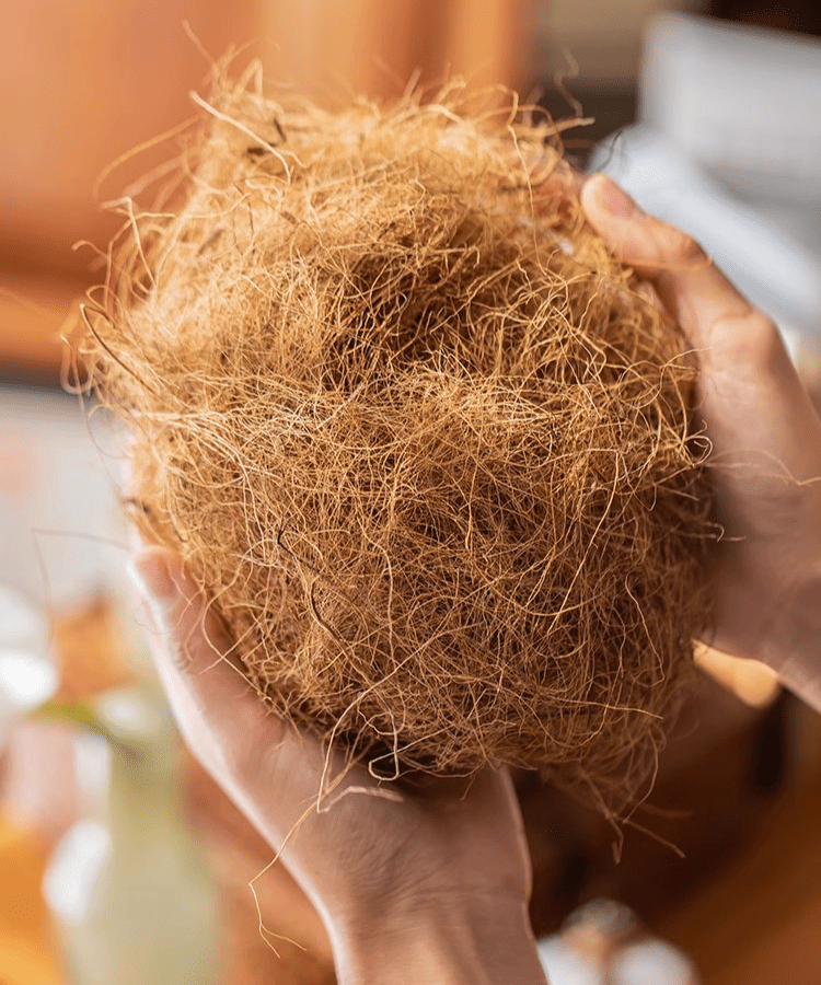 Coconut fiber pot soil surface decoration padding set of 3 natural coco fibers RusticReach on Tampa Home & Garden Store