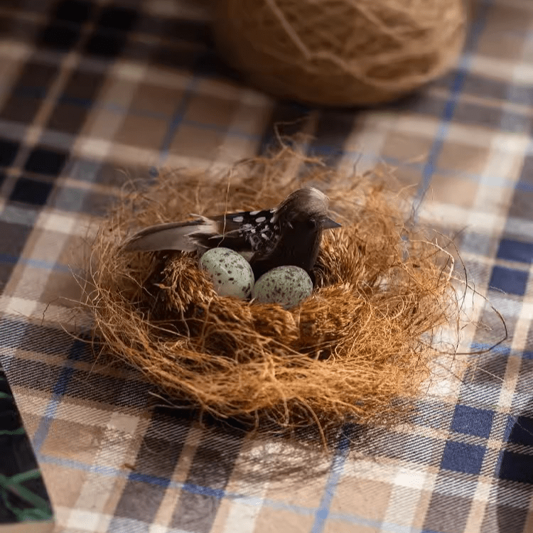 Coconut fiber pot soil decoration padding nest with a bird and speckled eggs on Tampa Home & Garden Store