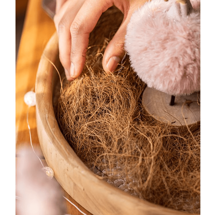 RusticReach Coconut Fiber Pot Soil Surface Padding set of 3 in natural brown fibers on Tampa Home & Garden Store