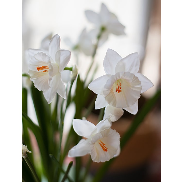 Faux silk white daffodil stem, 19in tall, RusticReach artificial flora on Tampa Home & Garden Store