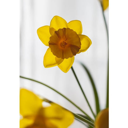 Daffodil stem artificial silk yellow, RusticReach 19in tall faux floral on Tampa Home & Garden Store