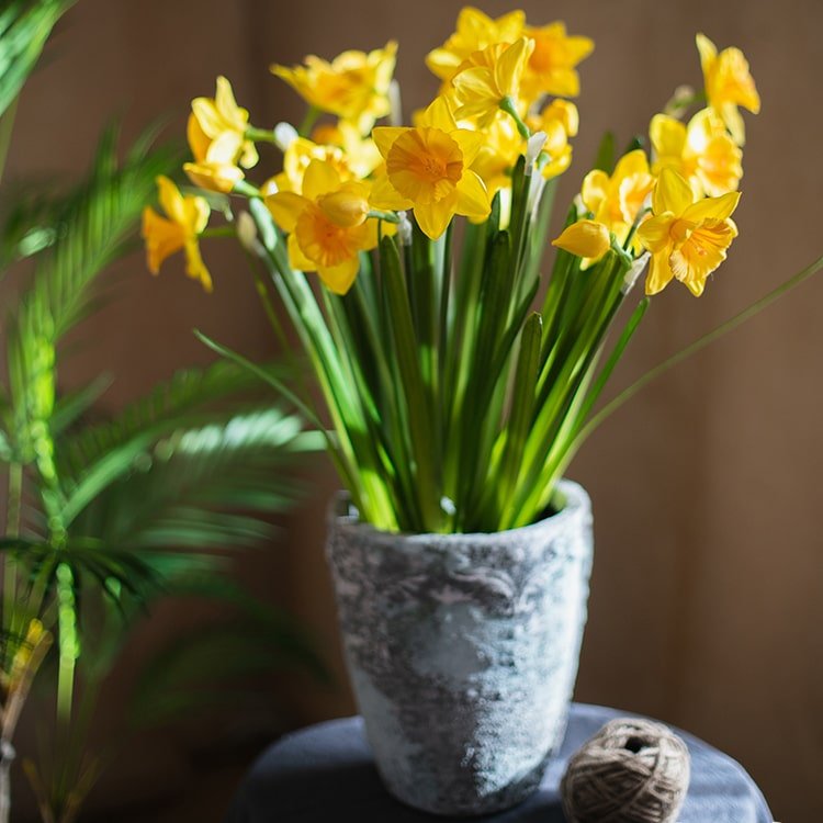 Artificial silk yellow daffodil stems in gray pot, RusticReach artificial flora, 19in tall on Tampa Home & Garden Store
