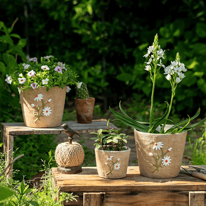 Daisy Garden Cement Planter four RusticReach pots with white daisies on Tampa Home & Garden Store
