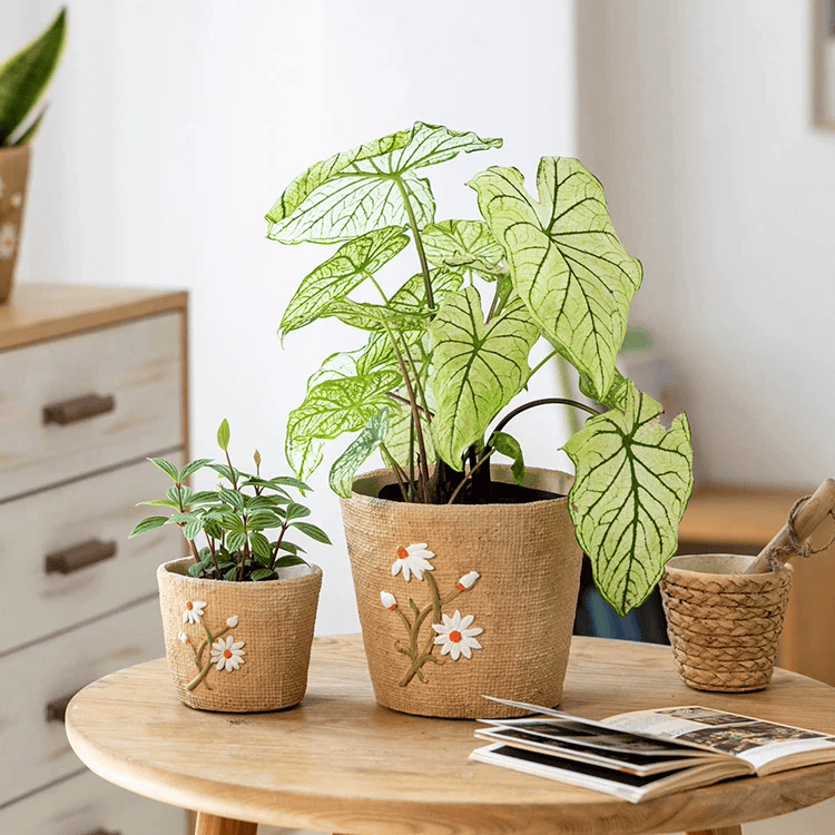 Daisy Garden Cement Planter in burlap-textured pots with white daisy motifs RusticReach on Tampa Home & Garden Store