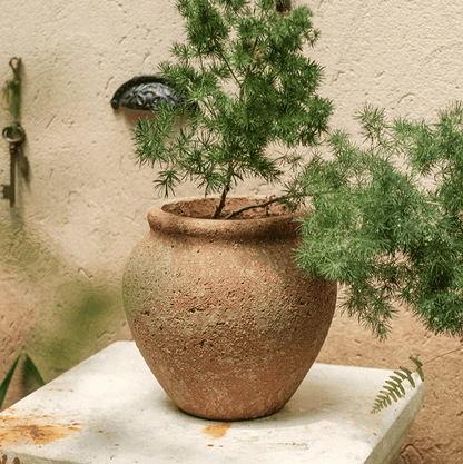 Distressed Cement Plant Pot by RusticReach; round weathered planter with green feathery conifer on Tampa Home & Garden Store