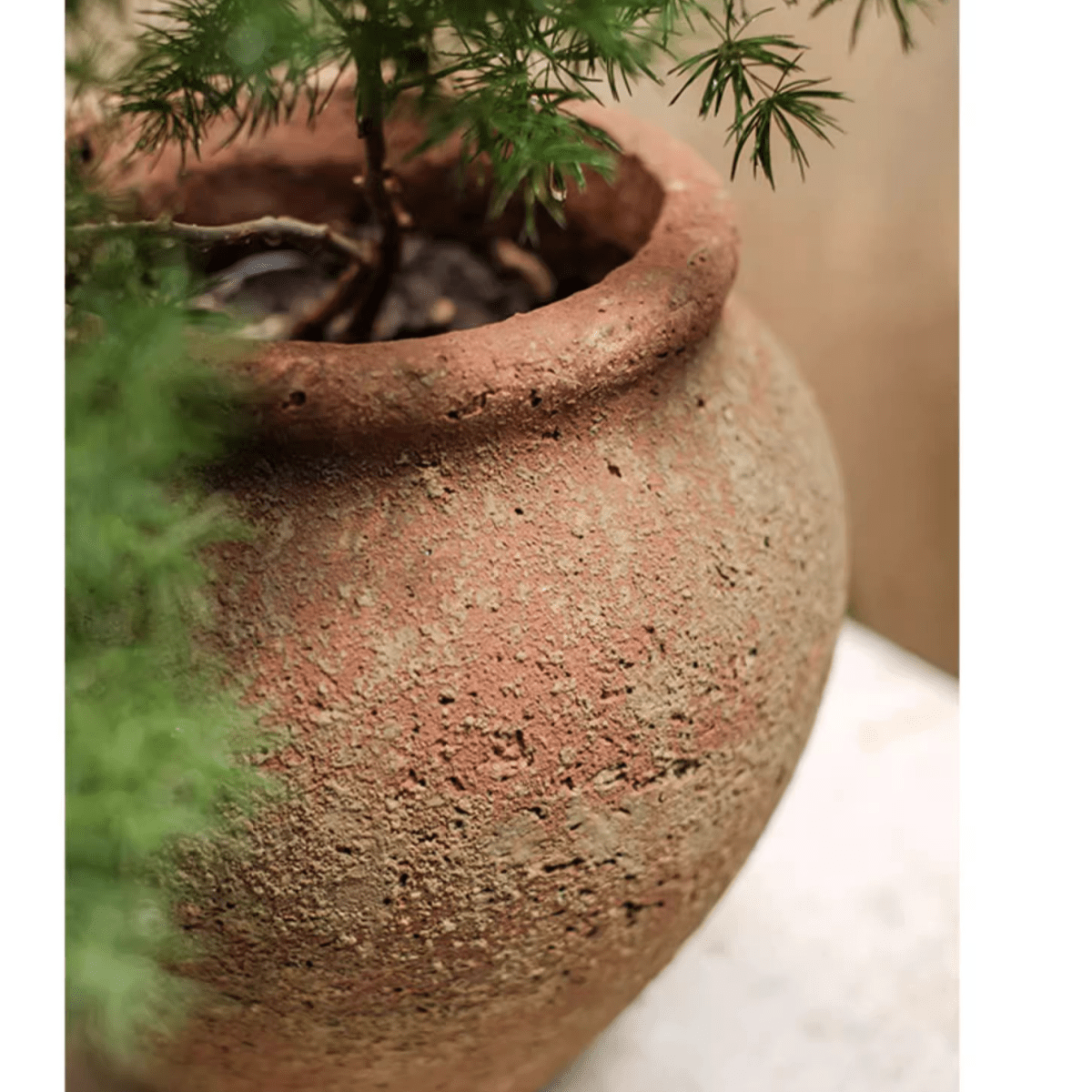 Distressed cement plant pot, terracotta tone with rough texture; RusticReach planter, 1 pot on Tampa Home & Garden Store