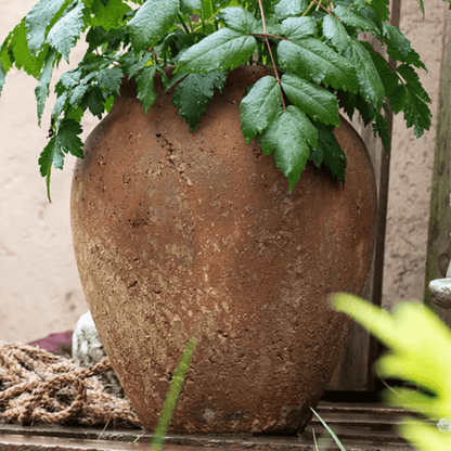Distressed cement plant pot by RusticReach in brown, weathered finish with leafy plant on Tampa Home & Garden Store