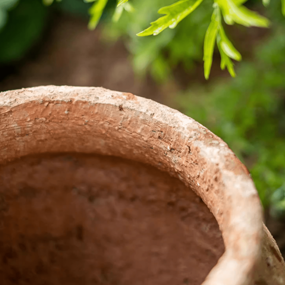 Distressed cement plant pot close-up with rough textured rim in earthy tones and a hint of greenery on Tampa Home & Garden Store