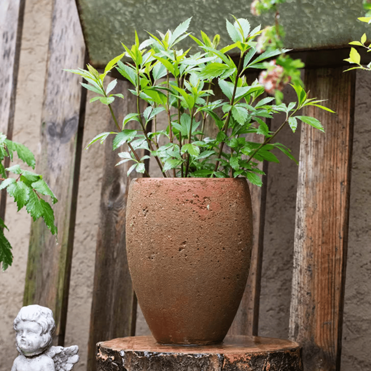 Distressed cement plant pot tall by RusticReach with terracotta finish and leafy green plant on Tampa Home & Garden Store