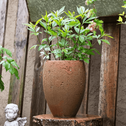 Distressed cement plant pot tall by RusticReach with terracotta finish and leafy green plant on Tampa Home & Garden Store
