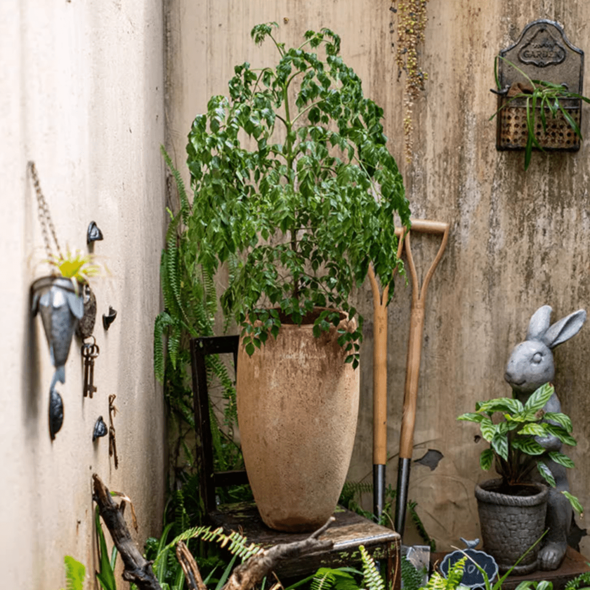 Distressed cement plant pot tall by RusticReach with lush green foliage, garden-ready on Tampa Home & Garden Store