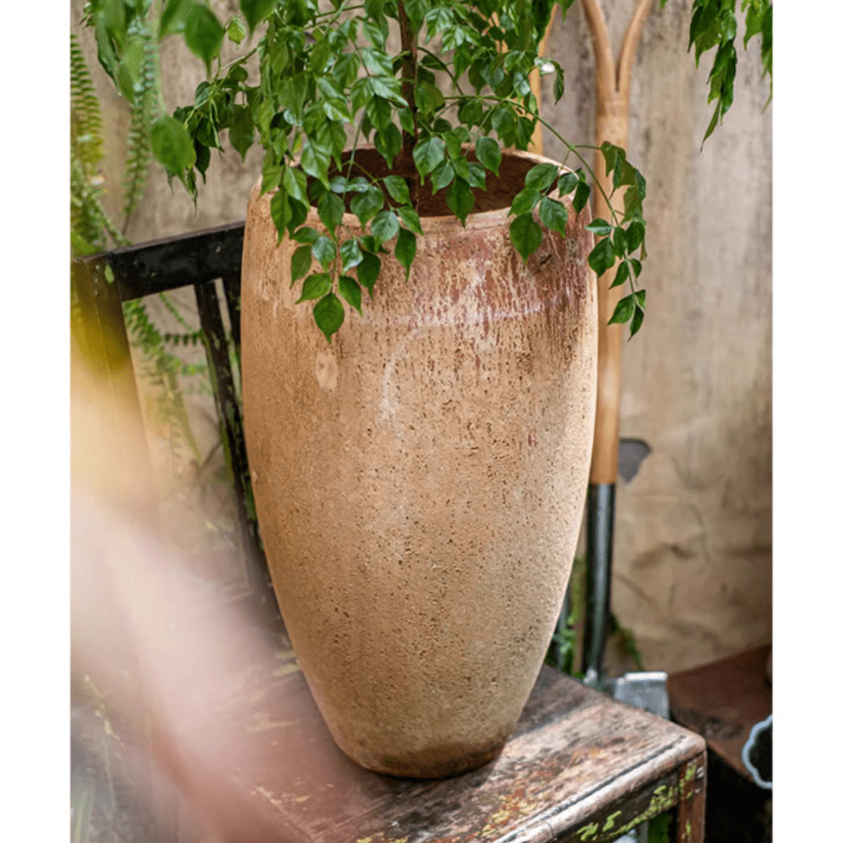 Distressed Cement Plant Pot Tall with green foliage, textured beige planter RusticReach on Tampa Home & Garden Store