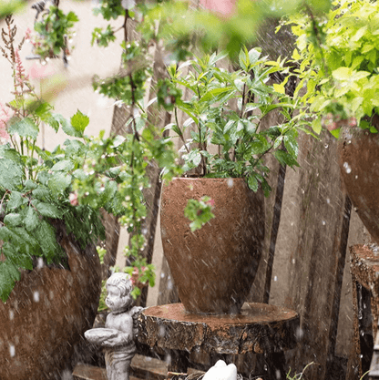 Distressed cement tall plant pot with green foliage RusticReach planter on Tampa Home & Garden Store