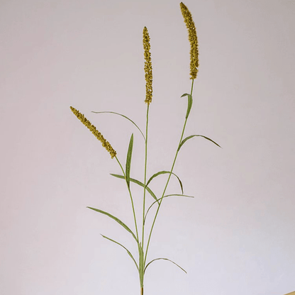 Three-Headed Dogtail Grass Stem 39in tall RusticReach yellow seed heads with green leaves on Tampa Home & Garden Store