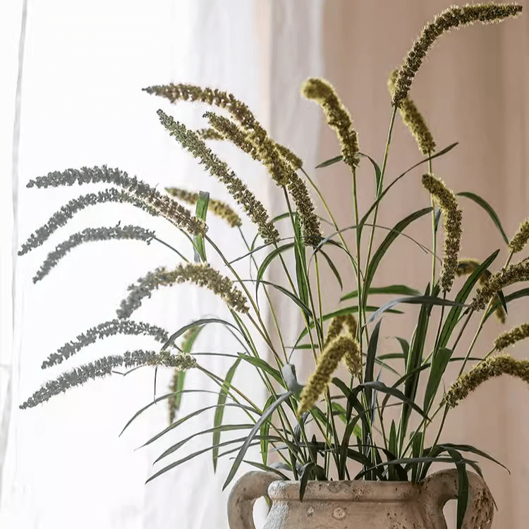 Three-Headed Dogtail Grass Stem 39-in tall, green stalks in a ceramic pitcher RusticReach on Tampa Home & Garden Store