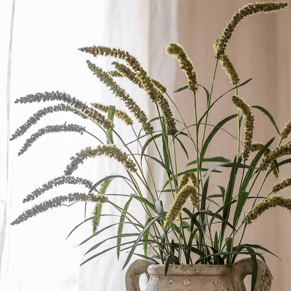 Three-Headed Dogtail Grass Stem 39-in tall, green stalks in a ceramic pitcher RusticReach on Tampa Home & Garden Store