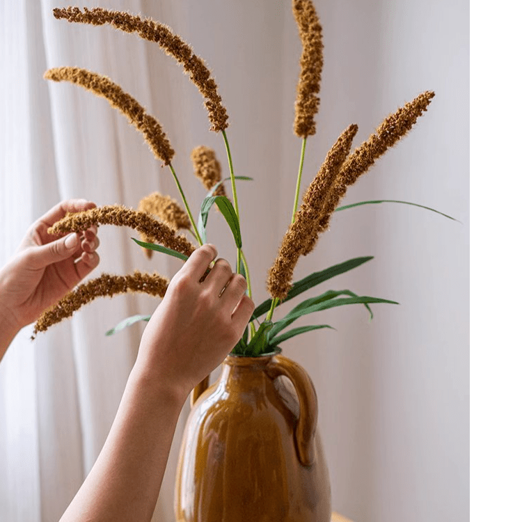 Three-Headed Dogtail Grass Stem 39 inches tall, golden-brown seed heads, RusticReach on Tampa Home & Garden Store