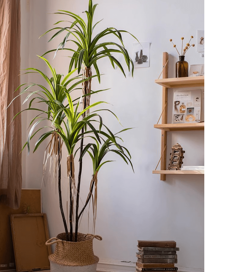 Artificial Dracaena Tree RusticReach, tall green-leaved plant in a woven basket planter on Tampa Home & Garden Store