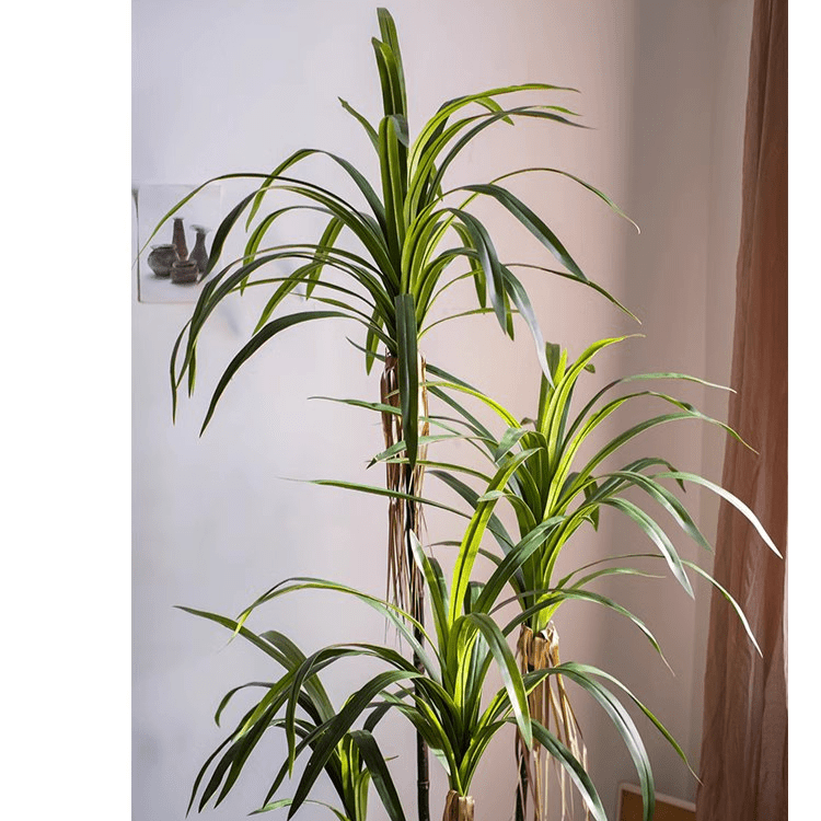Two artificial Dracaena Trees with tall trunks and arching green leaves RusticReach on Tampa Home & Garden Store