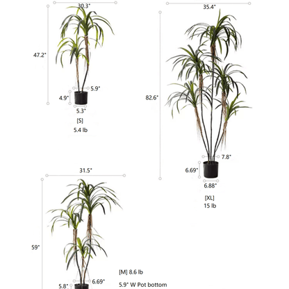 RusticReach Artificial Dracaena Tree in black pot with green fronds available in S, M, XL on Tampa Home & Garden Store