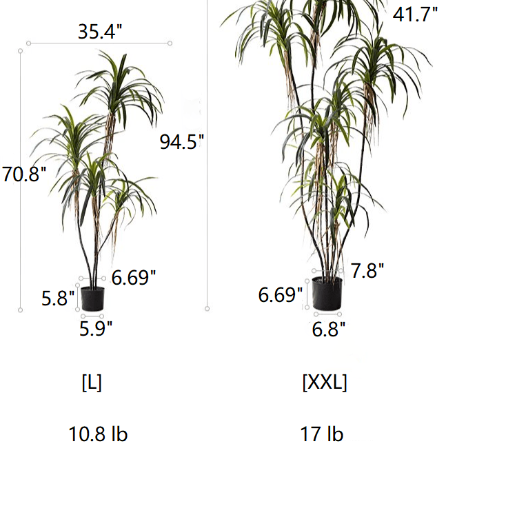 Artificial Dracaena Tree RusticReach; L & XXL trunks with green leaves in black pots on Tampa Home & Garden Store