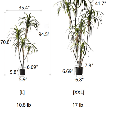 Artificial Dracaena Tree RusticReach; L & XXL trunks with green leaves in black pots on Tampa Home & Garden Store