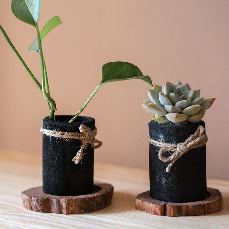 Desktop Charcoal Planter Wood Tray RusticReach twin black pots with twine leafy plant and succulent on Tampa Home & Garden Store