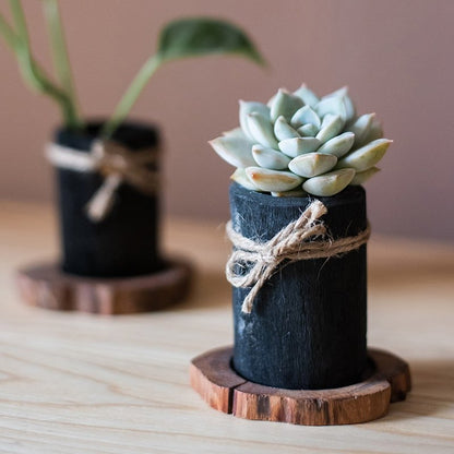 RusticReach desktop charcoal planters with succulents in black wood trays, 2 pcs on Tampa Home & Garden Store