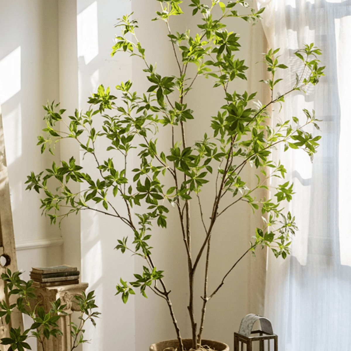 Artificial Japanese Enkianthus Tree Faux by RusticReach, potted indoor faux tree with slender trunks and green leaves on Tampa Home & Garden Store