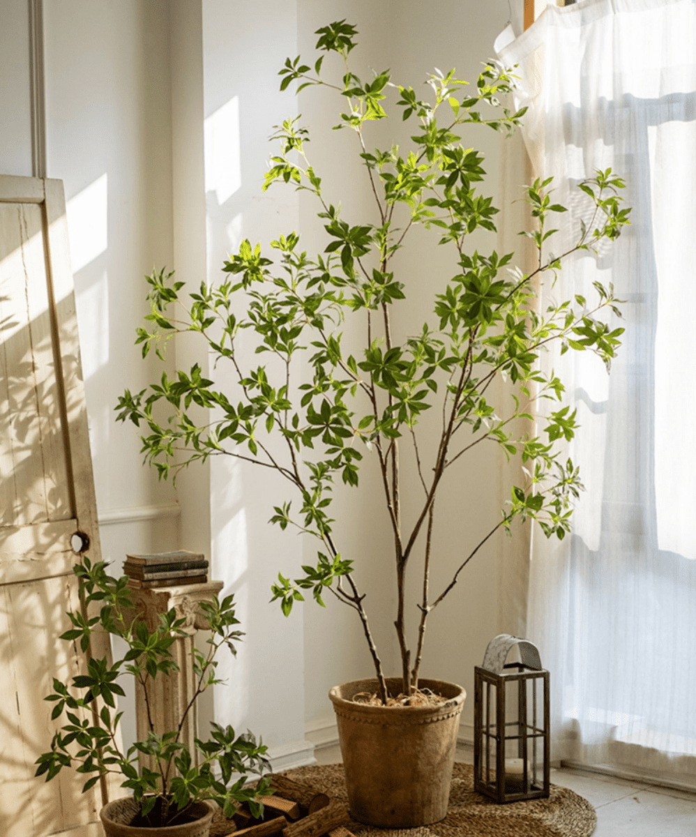 Artificial Japanese Enkianthus Tree Faux RusticReach in a terracotta pot with lush green leaves on Tampa Home & Garden Store